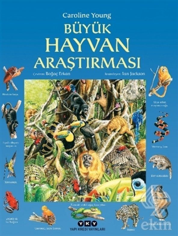 Büyük Hayvan Araştırması - 1