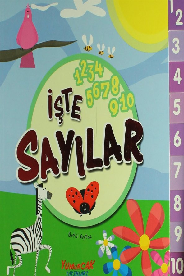 İşte Sayılar