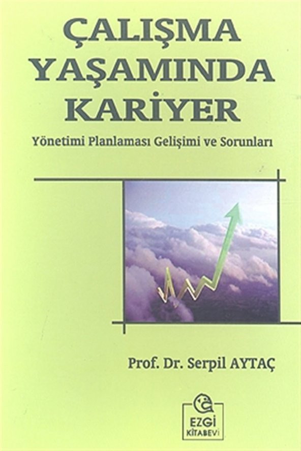 Çalışma Yaşamında Kariyer