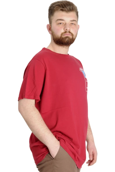 Mode XL Büyük Beden Erkek T-shirt ESTABLISMENT 23139 Bordo - 3