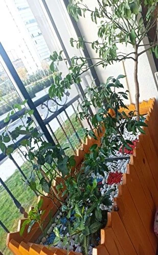 Dekoratif Vazo Taşı Renkli Vazo Taşı 3 Paket Renkli Dekoratif Taş Çakıl Taşı Küllük Taşı (2 Kilogrm) - 4