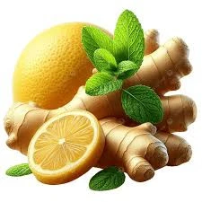 Nane Limon Zencefil Adaçayı Kekik Bitki Çayı 2 Fincan Poşet