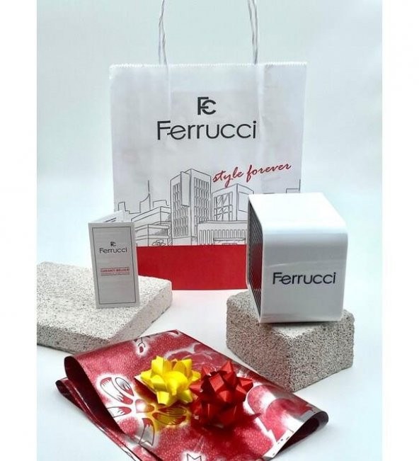 BLKT.2.569 Ferrucci Tüm Fonksiyonları Aktif 30 Mt Suya Dayanıklı Çelik Kordonlu Erkek Kol Saati - 6