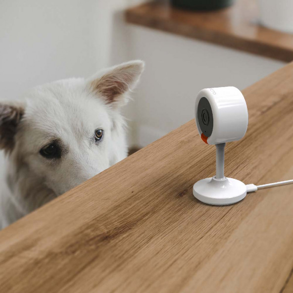 Bilicra Iris Mini 3MP Akıllı Kamera - 4