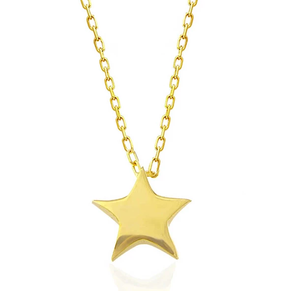 Gümüş Gold Yıldız Kadın Kolye SL5483 - Resim 3
