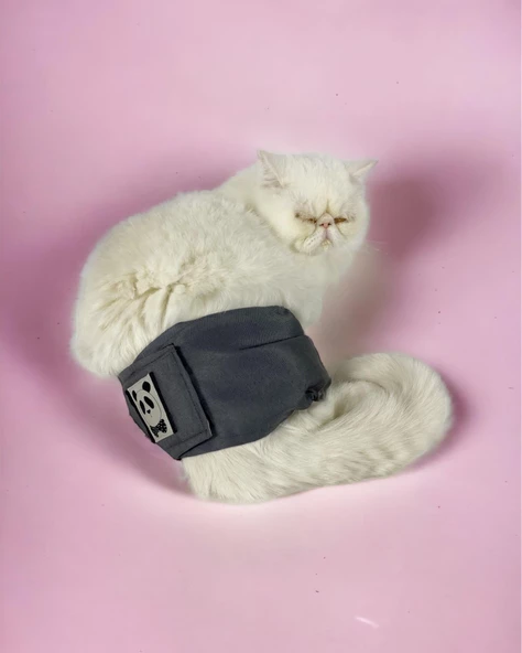 Kedi Çiş Bel Bandı Yıkanabilir Sızdırmaz Kedi Kıyafeti - Resim 3