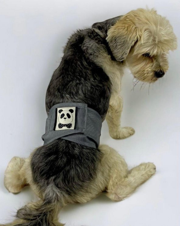 Köpek Çiş Bel Bandı Yıkanabilir Sızdırmaz Köpek Kıyafeti
