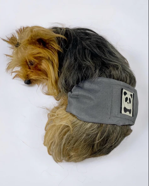 Köpek Çiş Bel Bandı Yıkanabilir Sızdırmaz Köpek Kıyafeti - 7