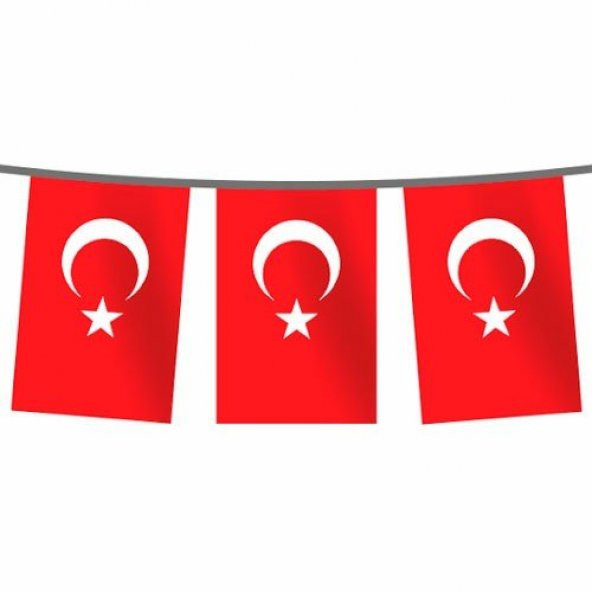 Türk Bayrağı Alpaka Dizili 30x45 cm (50 Adet - 25 mt)
