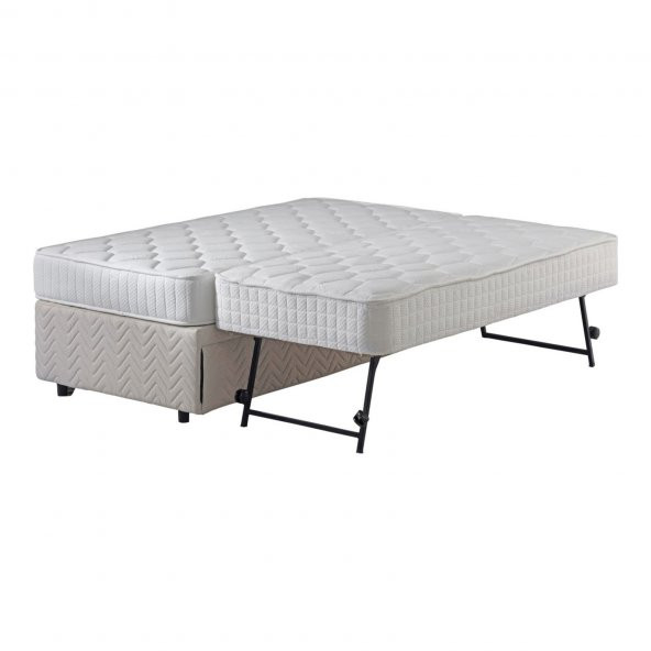 Hitit Yavrulu Baza 90200 - 3