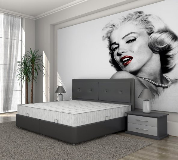 Iyon Sandıklı Baza Başlık Set 140x200