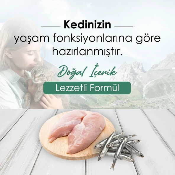 CatPlus Düşük Tahıllı Hipoalerjenik Tavuklu Hamsili Yetişkin Kedi Maması 15 Kg - 2