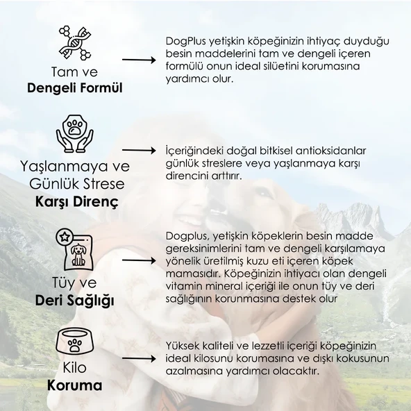 DogPlus Düşük Tahıllı Hipoalerjenik Kuzu Etli Pirinçli Yüksek Enerjili Yetişkin Köpek Maması 15 Kg - 5