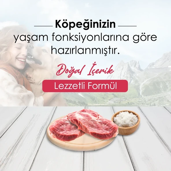 DogPlus Düşük Tahıllı Hipoalerjenik Kuzu Etli Pirinçli Yetişkin Köpek Maması 15 Kg - 2