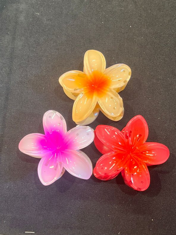 moyyi Lotus Toka Seti 3lü Takım Toka Set