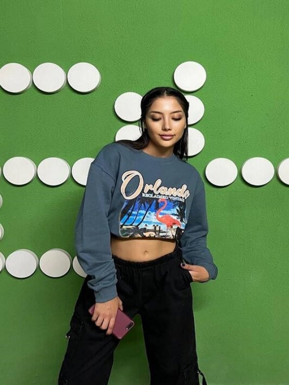 Flamingo Baskılı Şardonlu Sweatshirt - 4
