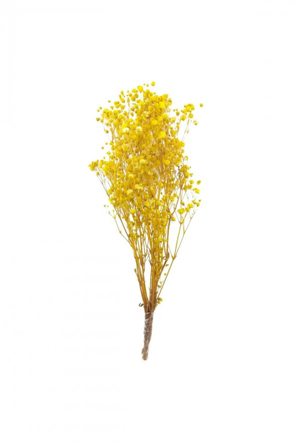 Epoksi Süsleme Kurutulmuş Çiçek Cipso Sarı Renk