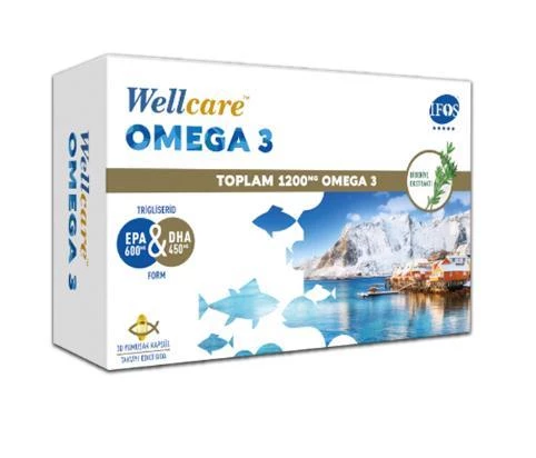 Wellcare Omega 3 1200 mg 30 Kapsül