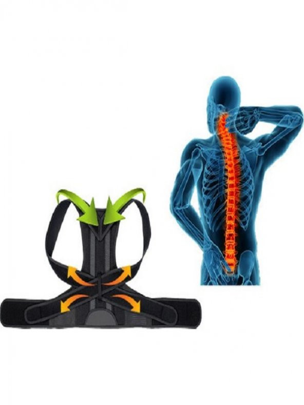 Dik Durus Korsesi Balenli Korse Bel ve Sırt Korsesi ürün görseli 1