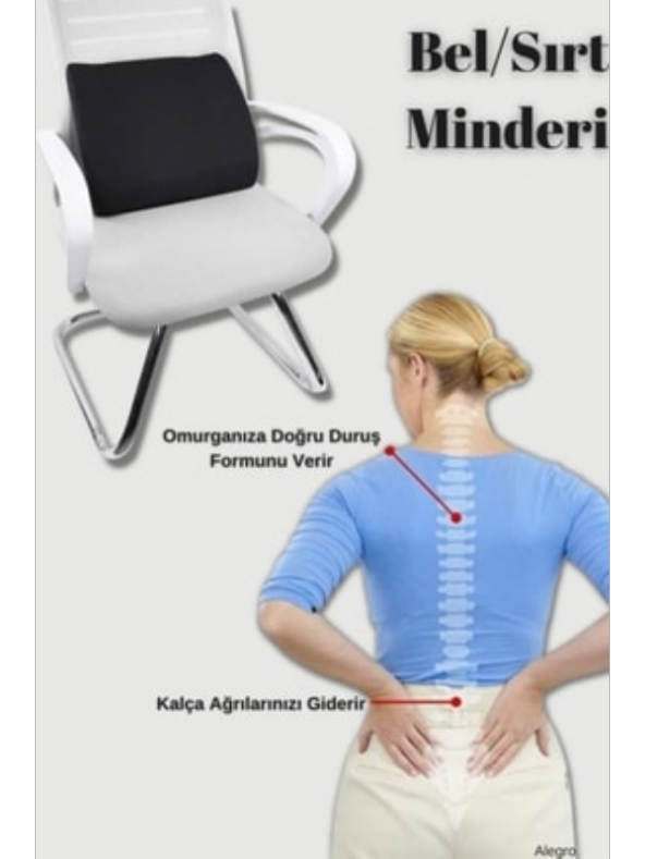 Tam Ortopedik Sırt Minderi Bel Yastığı Destek Dik Duruş Desteği ürün görseli 1
