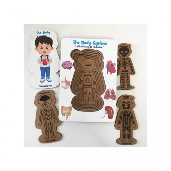 Moon Beavers Vücudumuz Sistemleri - Kız Eğitici Öğretici Geliştirici Boyanabilir Ahşap Sağlıklı Oyuncak - 2