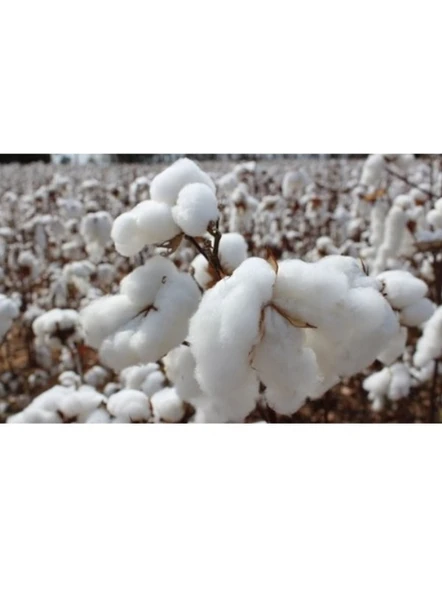 Babaanne Yorganı, El Yapımı Çift Kişilik Pamuklu Yorgan (195x215)-Mavi - 5