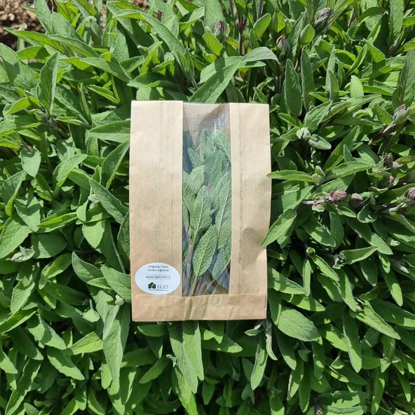 EGET Taze Adaçayı - 2