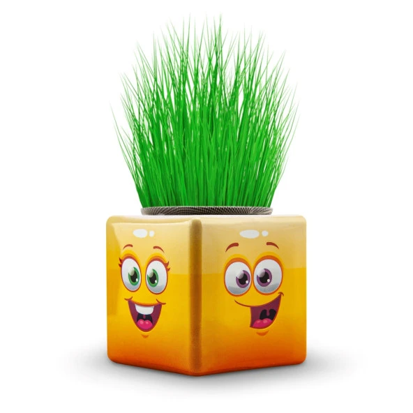 32li Karışık 3 Tarafı Emojili Figürlü Küp Çim Adamlar Okul Ve Okul Öncesi Hediyelik Çim Adam ürün görseli