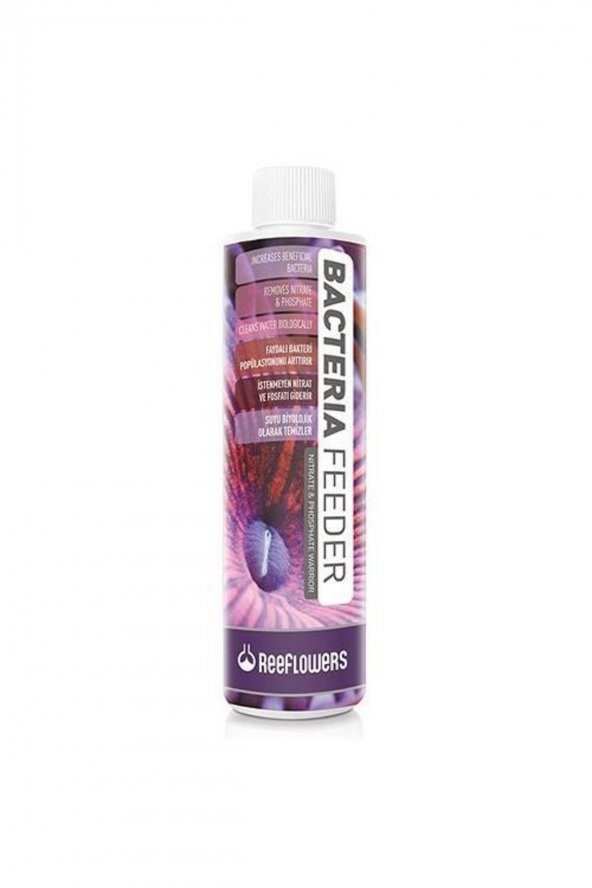 Bacteria Feeder Akvaryum Faydalı Bakteri 500 ml Bf500 - 1
