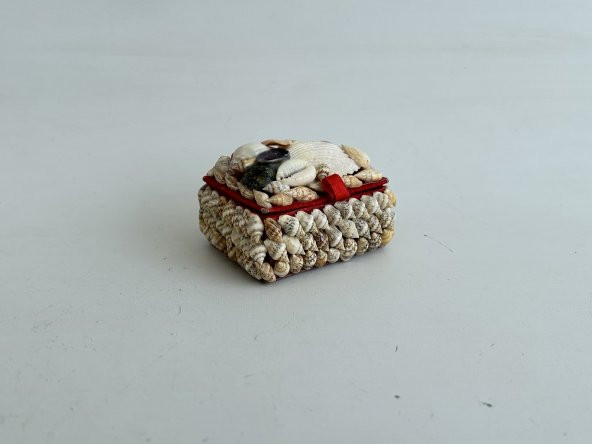 Deniz Kabuğu Kaplamalı Kutu 7x5x4cm - Mücevher Takı Kutusu - 2