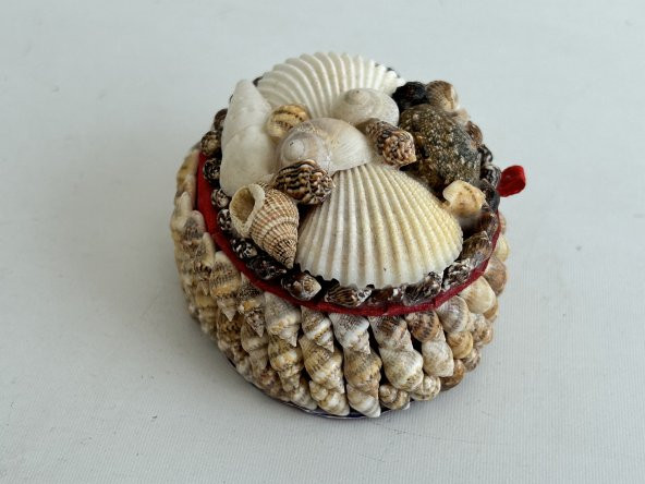 Deniz Kabuğu Kaplamalı Kutu 8x6x4cm - Mücevher Takı Kutusu - 6