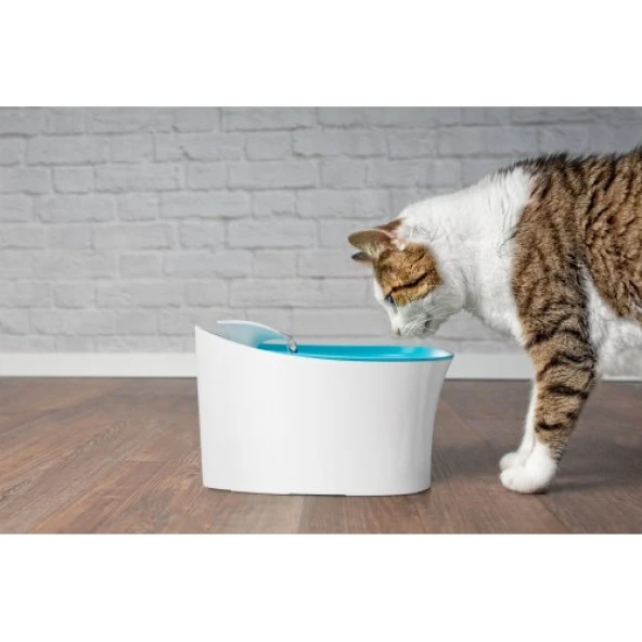 Justcheapstore Otomatik Uyarılı Kedi Köpek Su Kabı