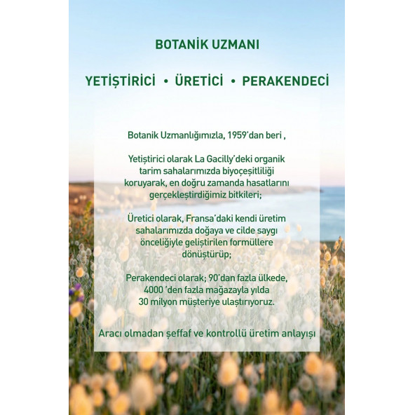 İnce Telli Saçlar İçin (Volume) Hacim Veren Şampuan - Sülfatsız & Vegan-300 ml - 3