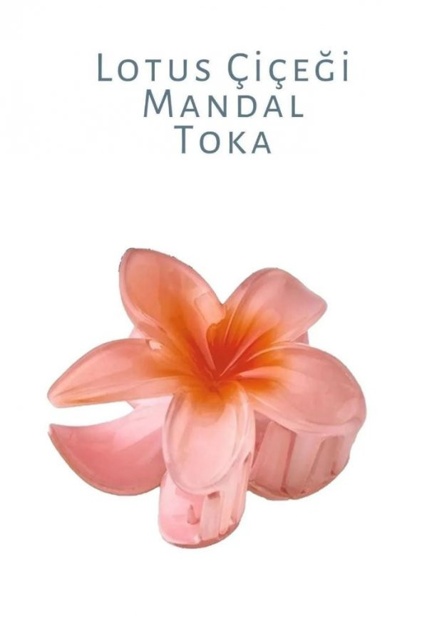 LOTUS MANDAL SAÇ TOKASI AKRİLİK PARLAK (SOMON) - 3