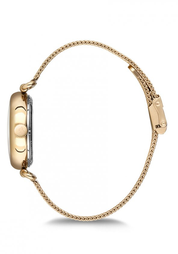 CW280G-02SG  Kadın Kol Saati - Resim 2