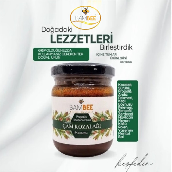 Bambee Propolisli Çam Kozalağı Macunu 250 Gr