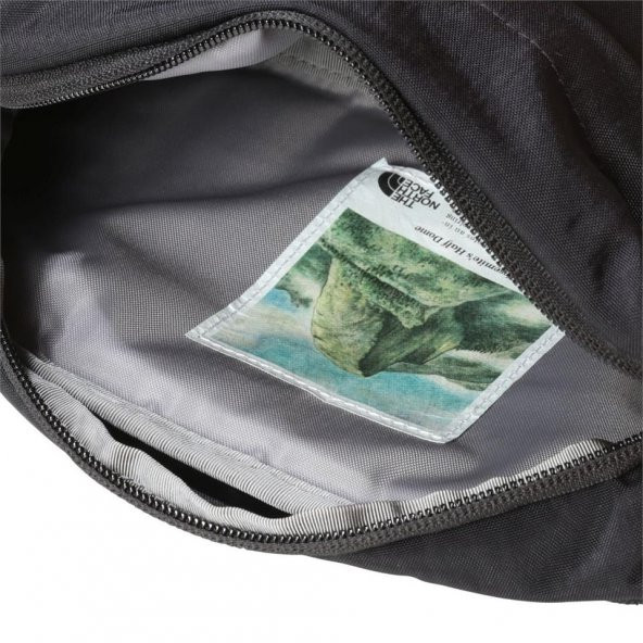 The North Face Berkeley Lumbar Pack Bel Çantası Siyah - Resim 6