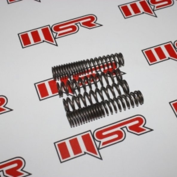 HONDA ALPHA AMORTİSÖR YAYI 4 LÜ SET ürün görseli 1