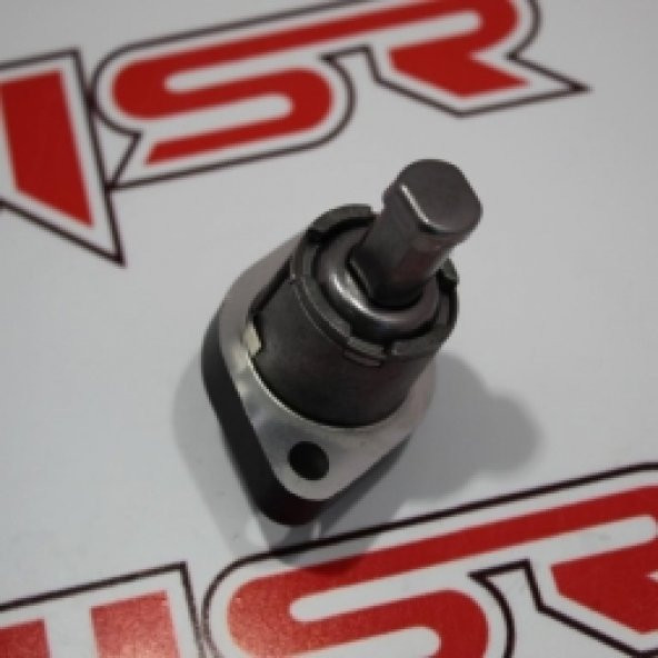 CBR 250 EKSANTRİK ZİNCİR GERGİSİ
