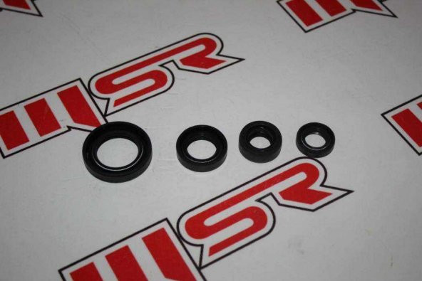 BAJAJ DISCOVER 125 YAĞ KEÇE ürün görseli 1