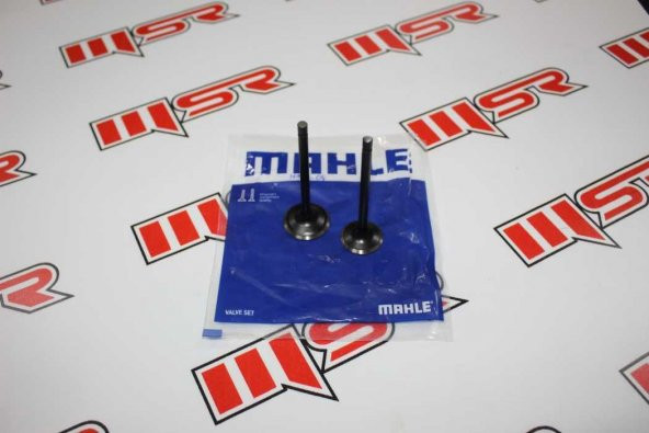 TVS APACHE RTR 160 -180 SÜBAP TK MAHLE ürün görseli 1