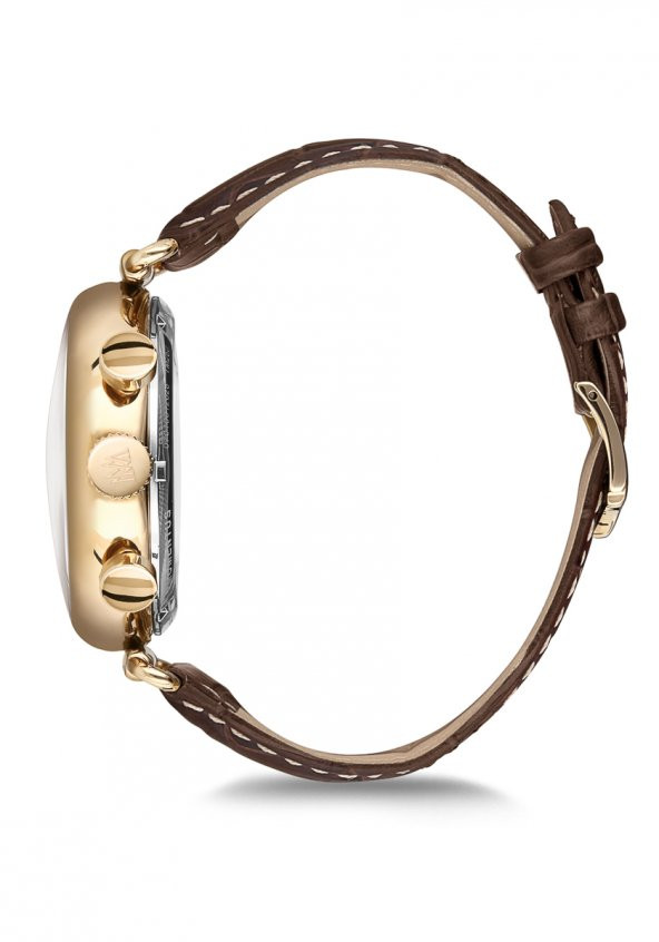 TM250G-02KG Erkek Kol Saati - Resim 2