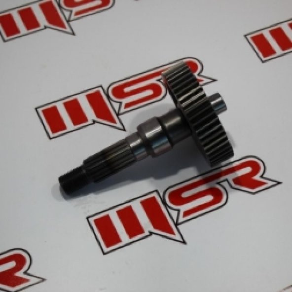 ACTIVA-BEAT AKS MİLİ