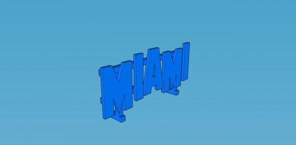 Miami Burcu - Hollywood Yazı Tipi Plastik Aparat - 1