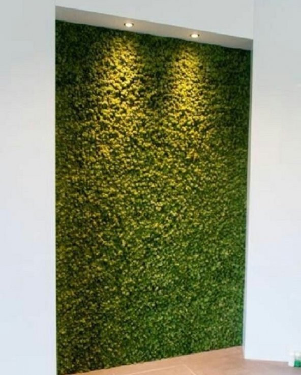 10 ADET Yapay Bitki Duvar Kaplama Panel Şimşir Tabaka 40x60 Cm Yeşil Dikey Bahçe - 2
