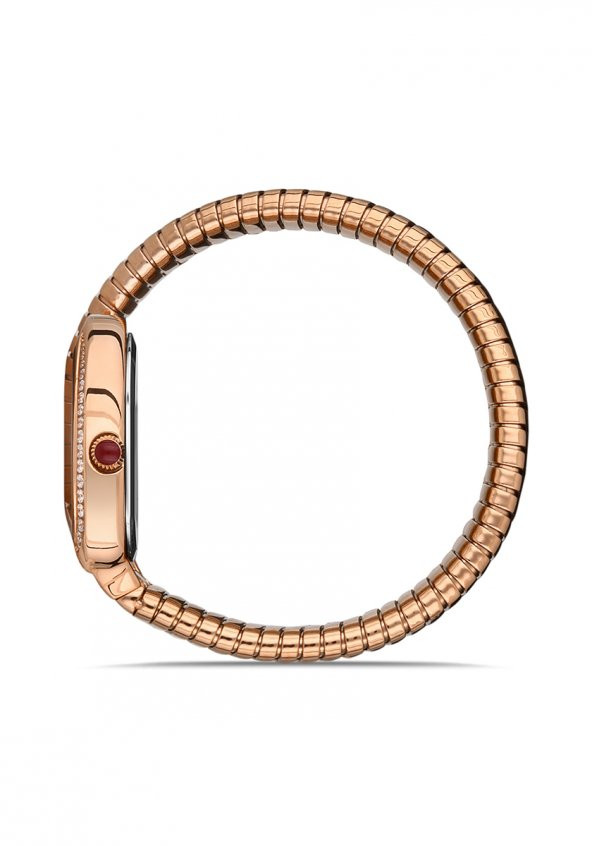 SS256R-02SR Kadın Kol Saati - Resim 2