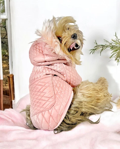 Pink Comfy Köpek Montu, Köpek Ceketi, Köpek Dış Giyim