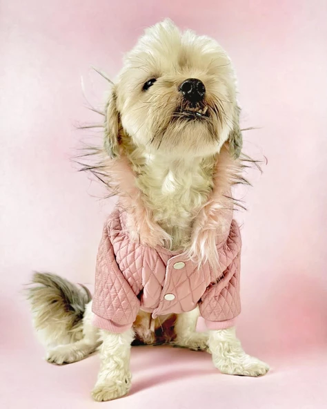 Pink Comfie Köpek Montu, Köpek Ceketi, Köpek Dış Giyim