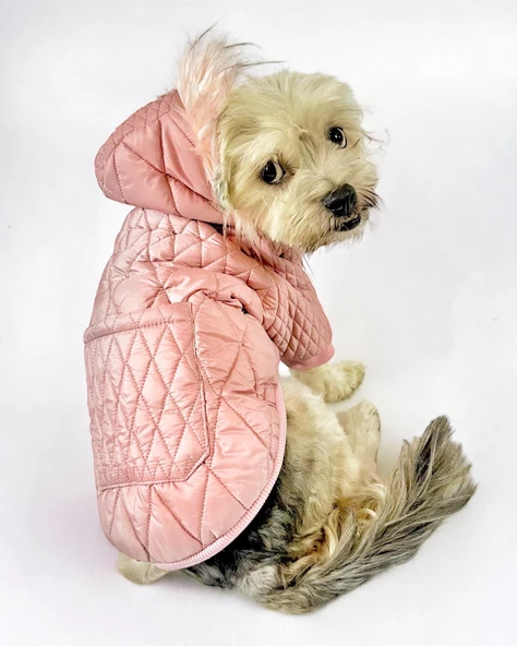 Pink Comfie Köpek Montu, Köpek Ceketi, Köpek Dış Giyim