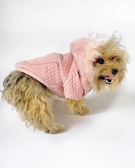 Pink Comfy Köpek Montu, Köpek Ceketi, Köpek Dış Giyim - 2